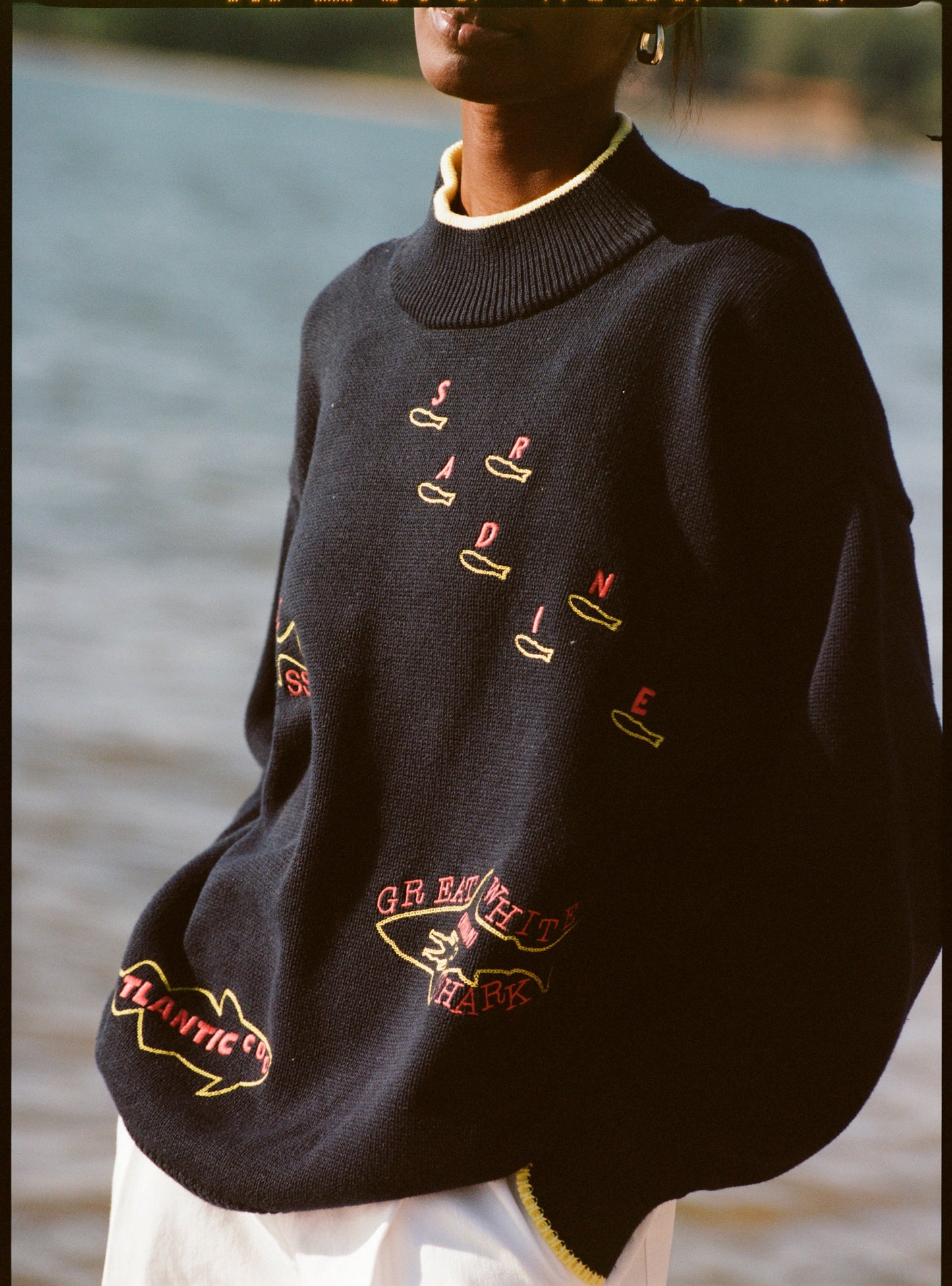 'Fishes of the North Atlantic' Sweater