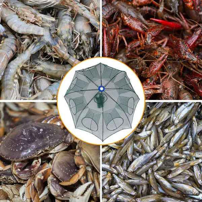 Foldable Fishing Bait Trap with 8 Entrances – 2-Pack, Crab, Shrimp & Minnow