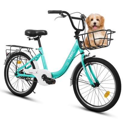 20" Kids Bike for Boys & Girls | Coaster Brake & V-Brake, Chain Guard & Rear Rack