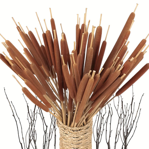 20pcs Realistic Dried Cattail Stems - Natural Brown, Long 17" Bundles for Wedding, Home, Office, Garden Decor - Rustic Floral