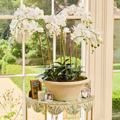 Faux Orchid in Large Clay Pot - 109cm