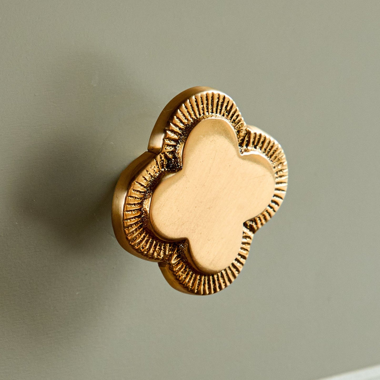 Quatrefoil Brass Knobs (Pair)