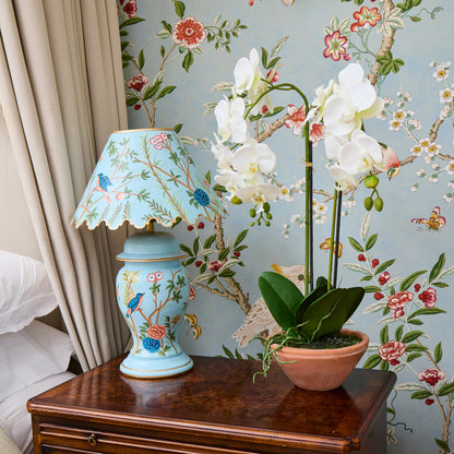 Faux Phalaenopsis Orchid in Terracotta Pot