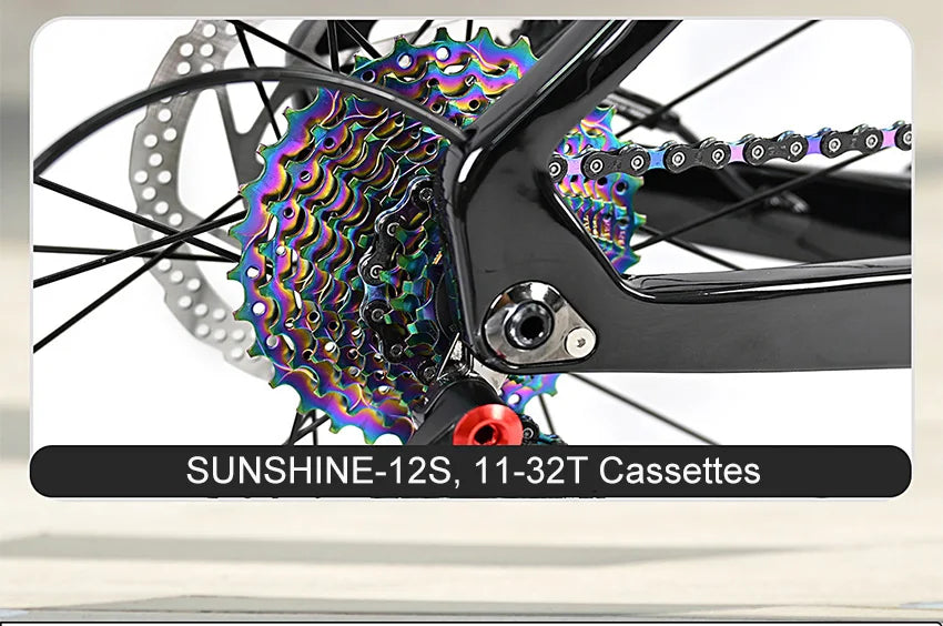 Cheap Mechanical Shifting Carbon Road Disc Bike 700*28C RS-24S Hydraulic Brake Racing Bicycle With Carbon 3K Handlebar For Sale