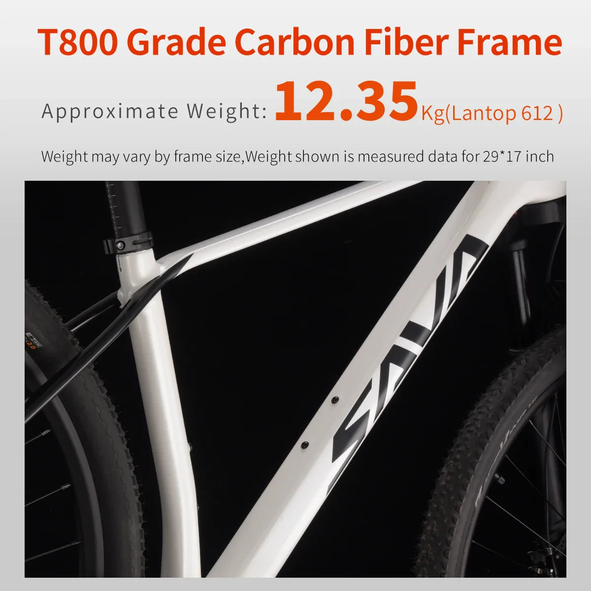 SAVA New Lantop 612 Carbon Fiber Mountain Bike, MTB Adult Bikes Mountain with SHIMANO DEORE M6100 12-Speed Components Bicycle
