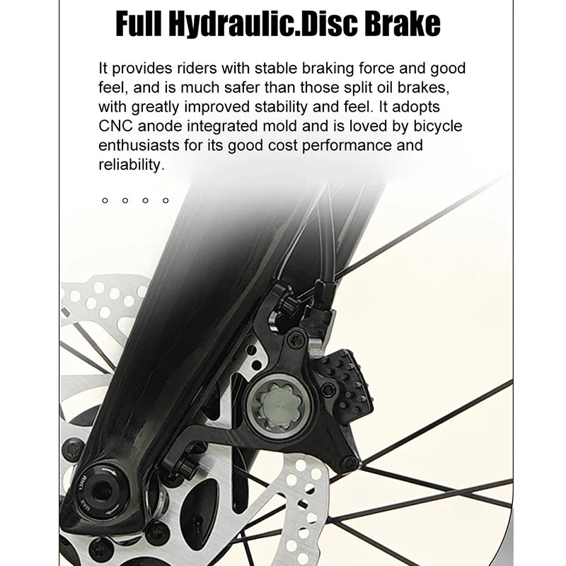 Cheap Mechanical Shifting Carbon Road Disc Bike 700*28C RS-24S Hydraulic Brake Racing Bicycle With Carbon 3K Handlebar For Sale