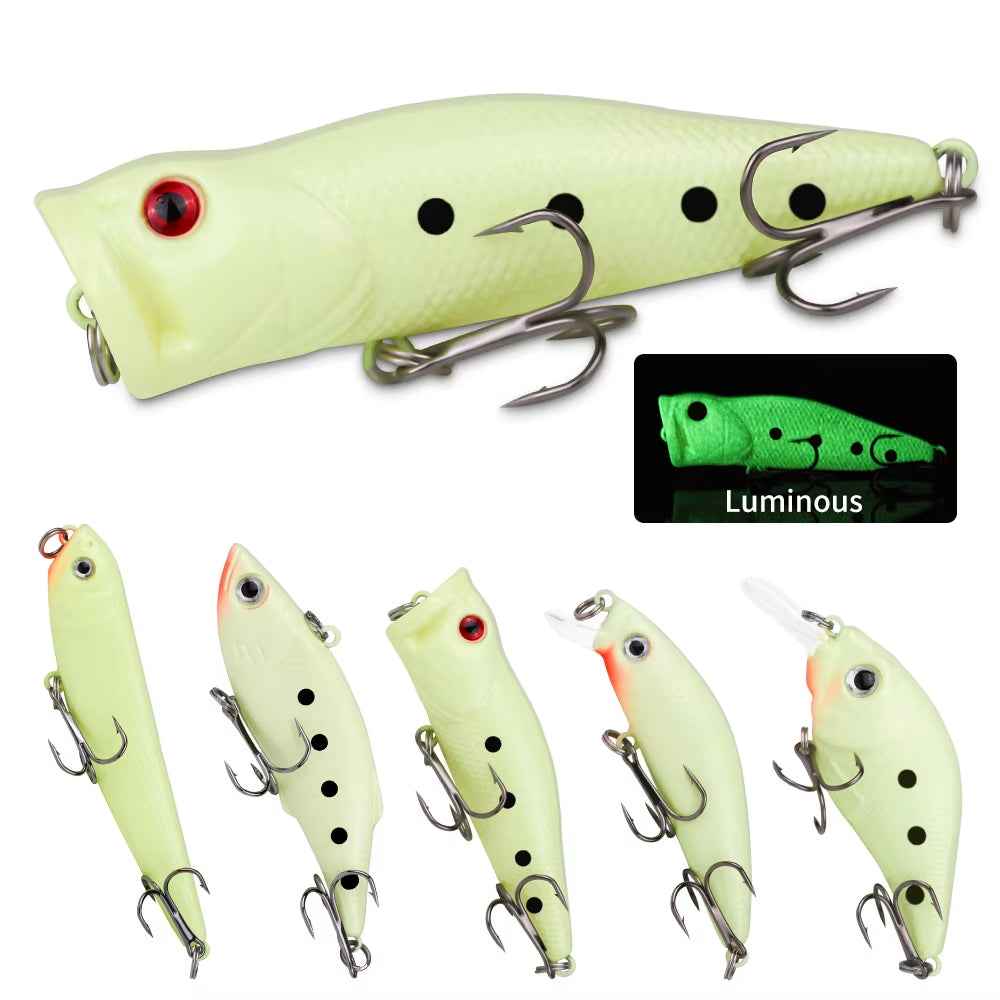 22-Piece Hard Fishing Lure Kit – Topwater & Midwater, Minnow, Popper, VIB, Pencil