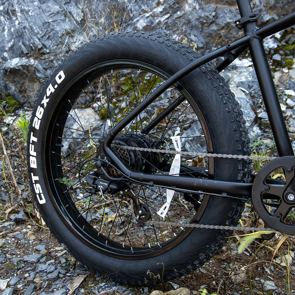 Fat Tire Electric Mountain Bike | 1000W, 48V 15Ah, 75-Mile Range, UL Certified
