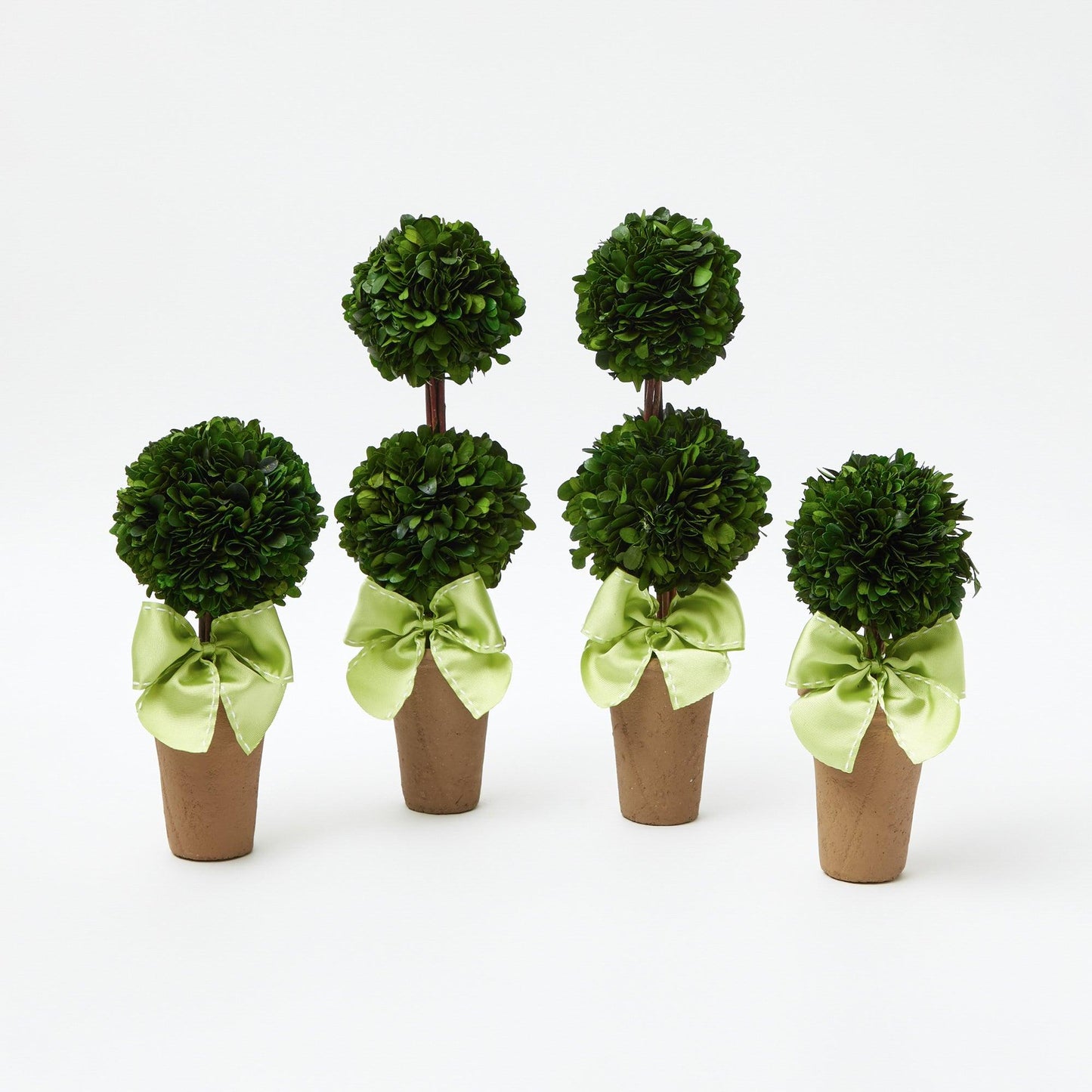Potted Boxwood Ball with Green Bow (Pair)