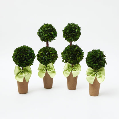 Potted Boxwood Ball with Green Bow (Pair)