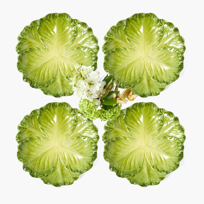 Green Serena Cabbage Starter Plate