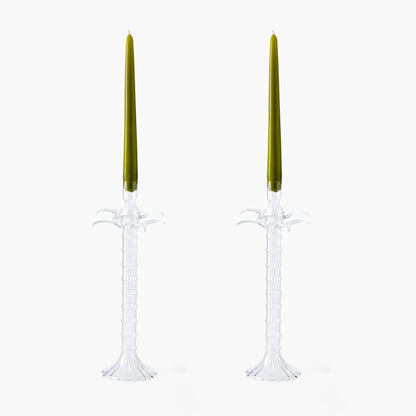 Palm Tree Glass Candle Set (Apple Green)